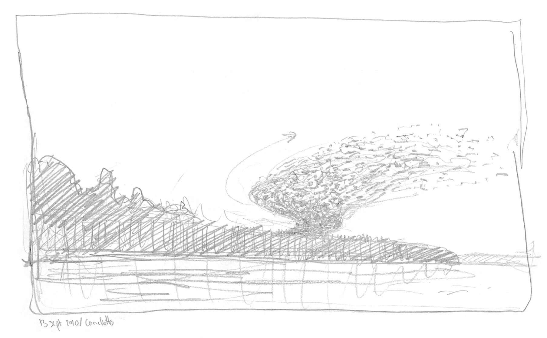 Dessin nature étourneaux en vol