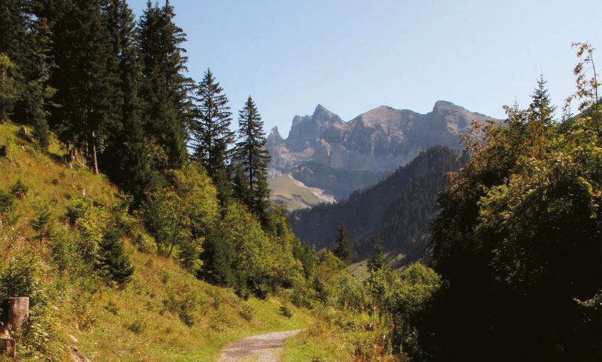 Photo de l'arête de Berroi