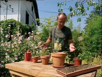 Comment se construire un mini jardin à aromatiques