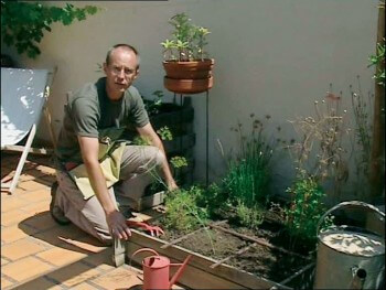 Comment se construire un mini jardin à aromatiques