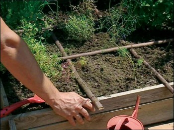 Comment se construire un mini jardin à aromatiques