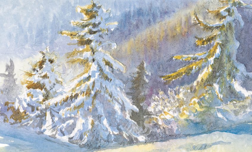 Mon beau sapin