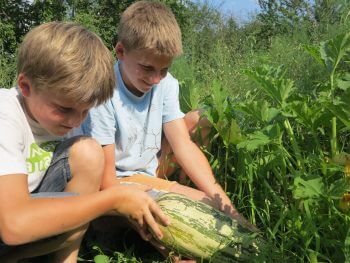 Recyclez une vieille courgette du jardin en bateau pirate