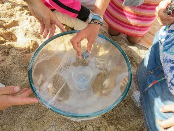 Comment dessaler l'eau de mer facilement en moins d'une heure ?