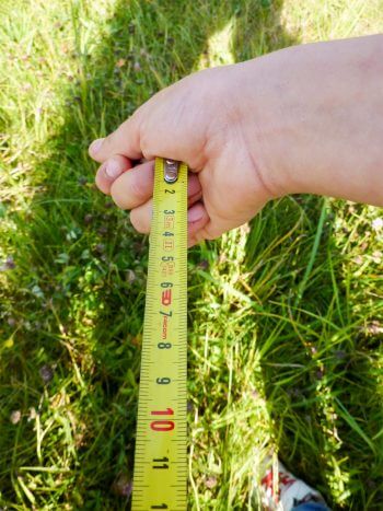 Comment mesurer un arbre avec un mètre et son ombre ?