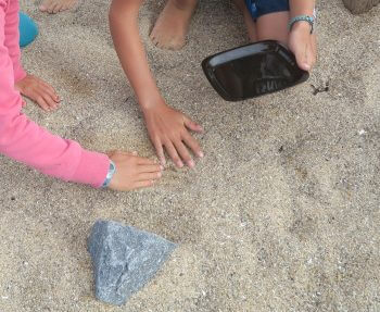 Sel : fabriquez-en vous même à la plage avec l'énergie du soleil
