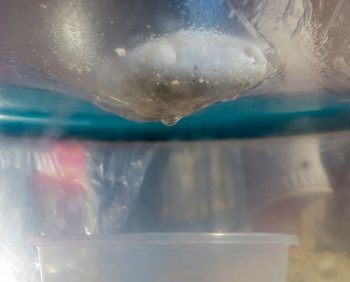 Comment dessaler l'eau de mer facilement en moins d'une heure ?