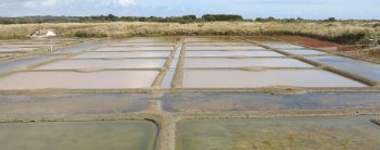 Sel : fabriquez-en vous même à la plage avec l'énergie du soleil