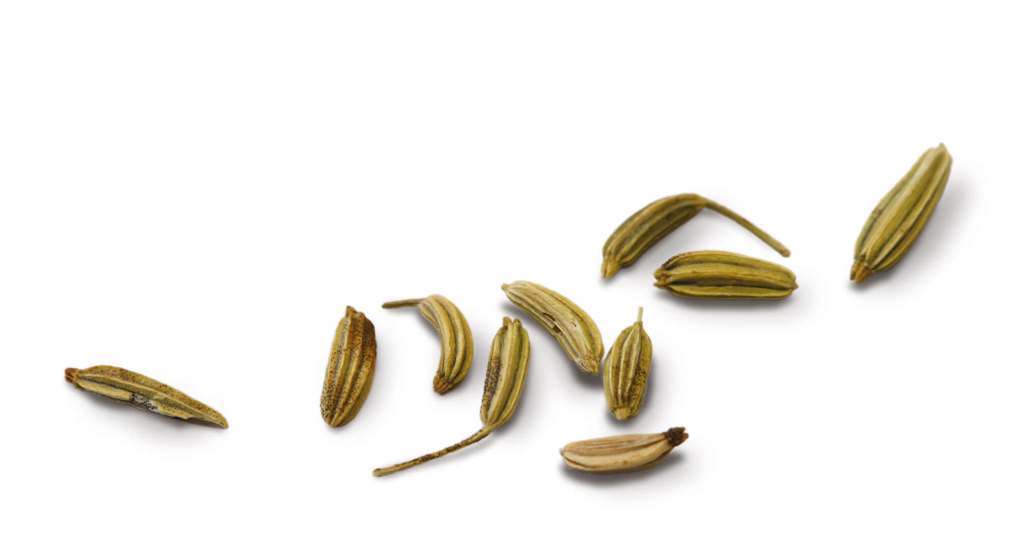 Molécules élémentaires d'odeurs