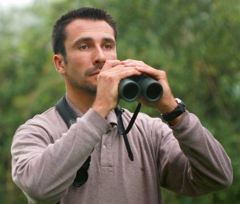Tétrix des vasières, un criquet de poche