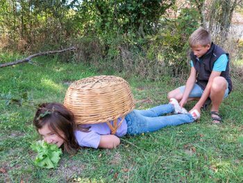 Organisez un concours de mime d'animaux en famille