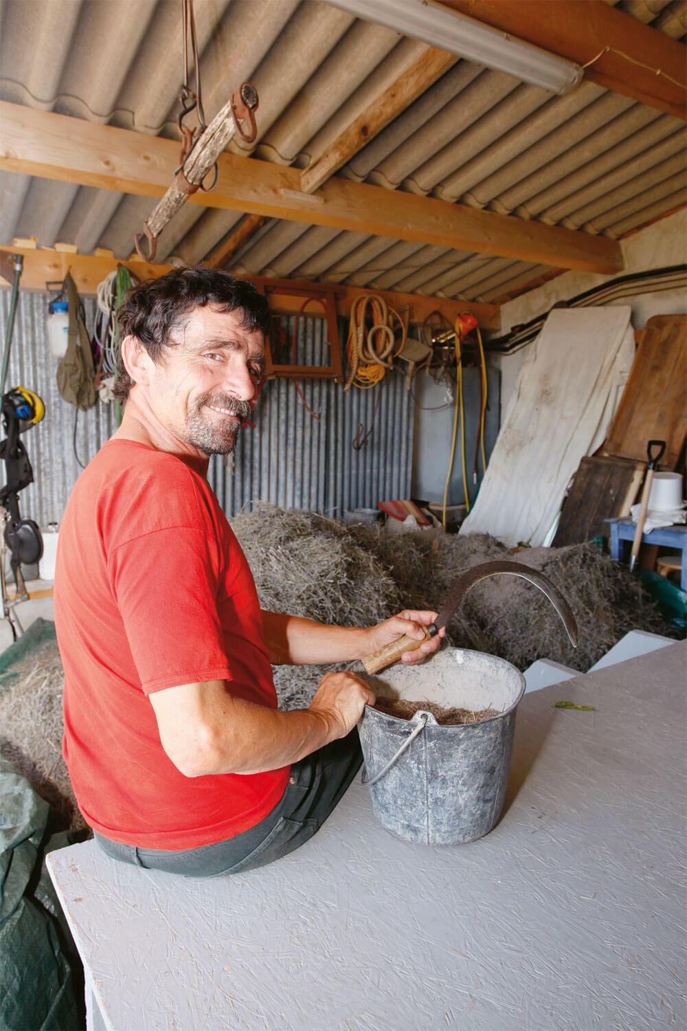 Producteurs d'huile essentielle de lavande