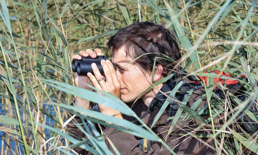 Combien vaut un butor ? Monétarisation de la nature