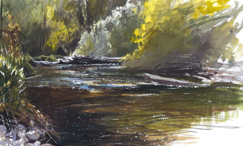 La rivière dessinée par Laurent Willenegger