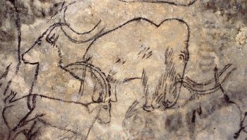 Les parois de la grotte de Rouffignac, dans le Périgord, sont ornées par plus de cent cinquante spectaculaires mammouths laineux.