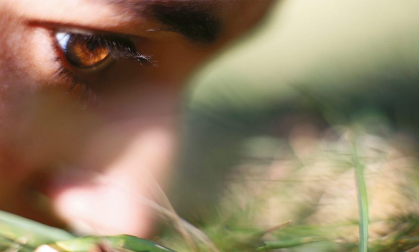 Le nez, péninsule oubliée