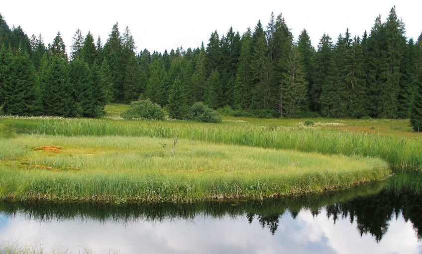 Balade à Saignelégier, au pays des étangs noirs