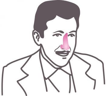 Le nez, péninsule oubliée