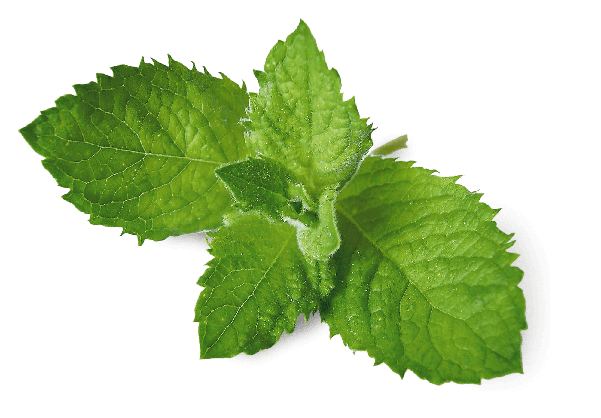 Respirez à plein nez les parfums de la nature