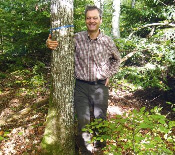 Le geai des chênes, sylviculteur d'exception