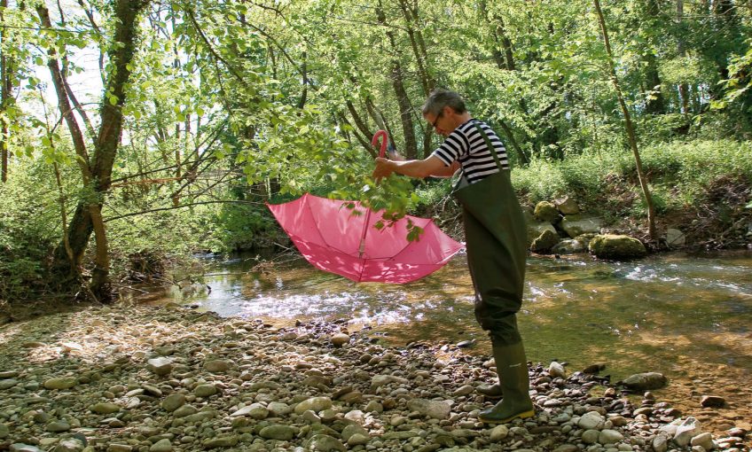 Observer la vie de la rivière au mois de mai