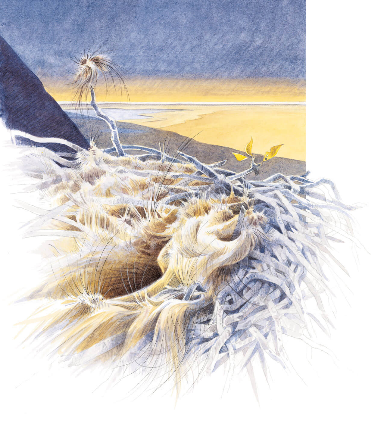 Mammouths, les colosses de la steppe