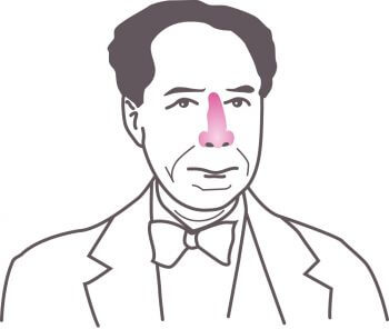 Le nez, péninsule oubliée