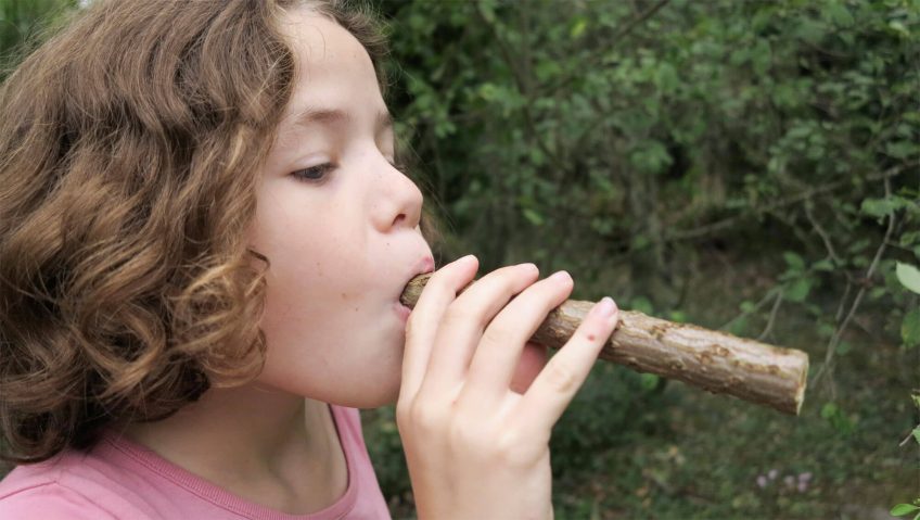 Sarbacane en bois enfants - avec feuilles colorées et cibles en bois