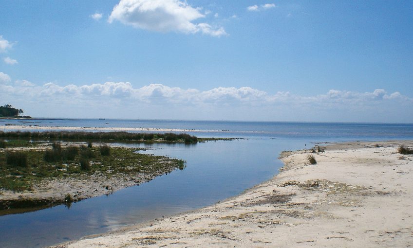 Promenade au bassin d'Arcachon