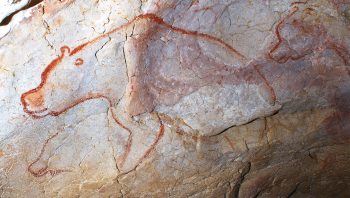 Cette fresque de la grotte Chauvet, représentant un ours, est vieille de 30’000 ans.
