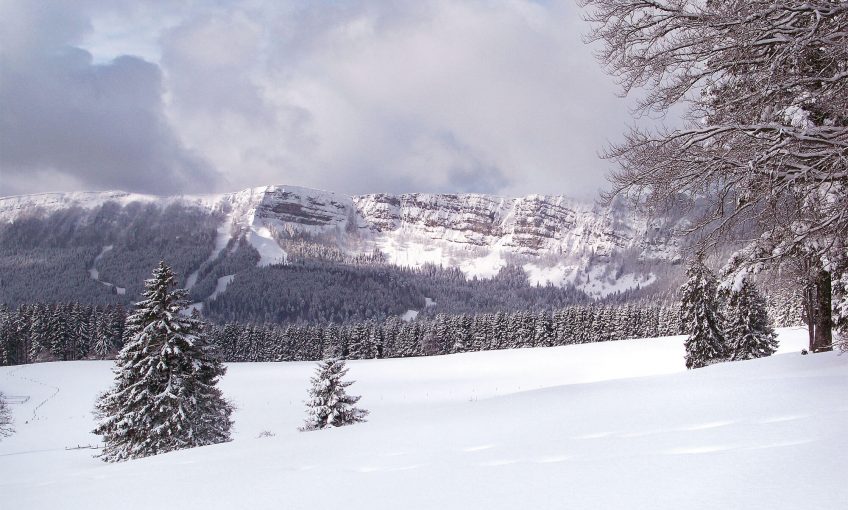 Promenade sur l'alpage du Mont d'Or