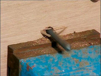 Construisez un abri hivernal pour les coccinelles de votre jardin