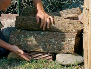 Construisez un abri hivernal pour les coccinelles de votre jardin