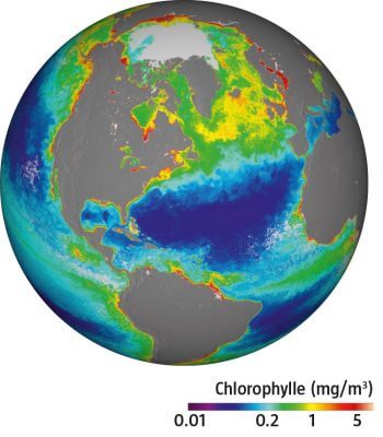 Un satellite suit la répartition de la chlorophylle sur Terre