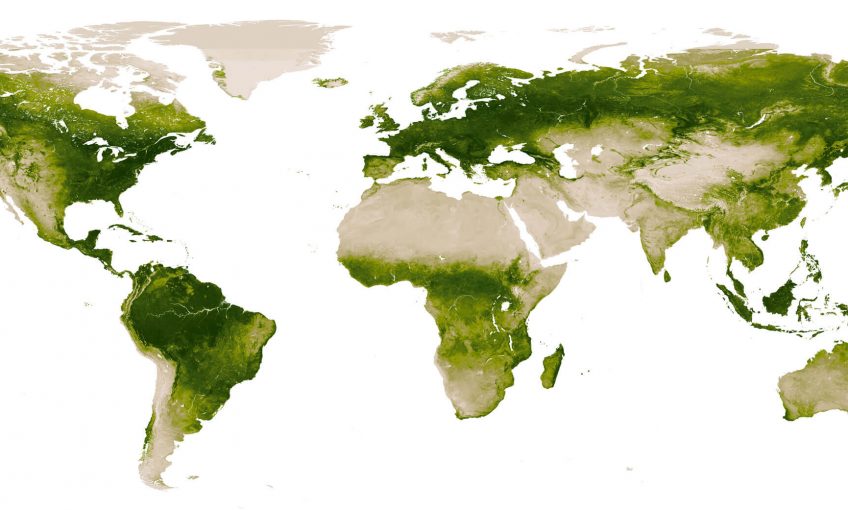 Un satellite suit la répartition de la chlorophylle sur Terre