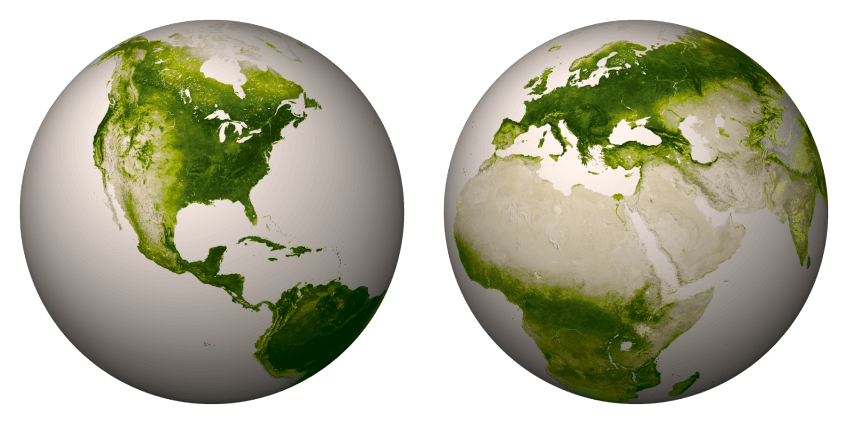 Un satellite suit la répartition de la chlorophylle sur Terre