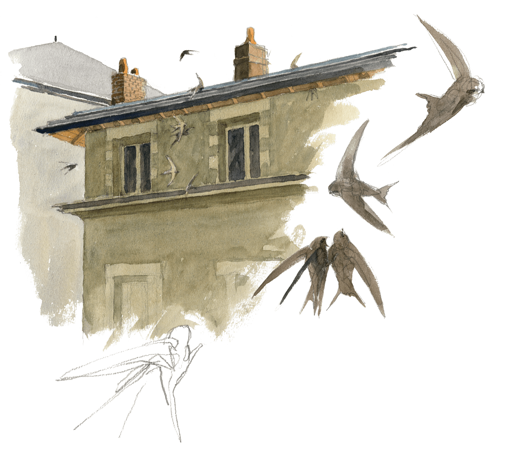 Cent jours de martinets