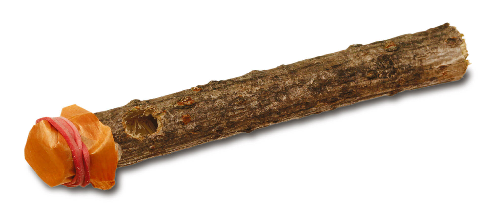 Fabriquez un lance-patates et un kazoo avec des branches de sureau