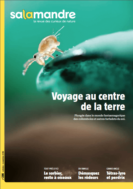 Salamandre 236 voyage au centre de la terre