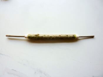 Fabriquez un lance-patates et un kazoo avec des branches de sureau