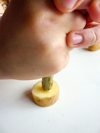 Fabriquez un lance-patates et un kazoo avec des branches de sureau
