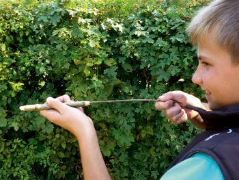 Fabriquez un lance-patates et un kazoo avec des branches de sureau