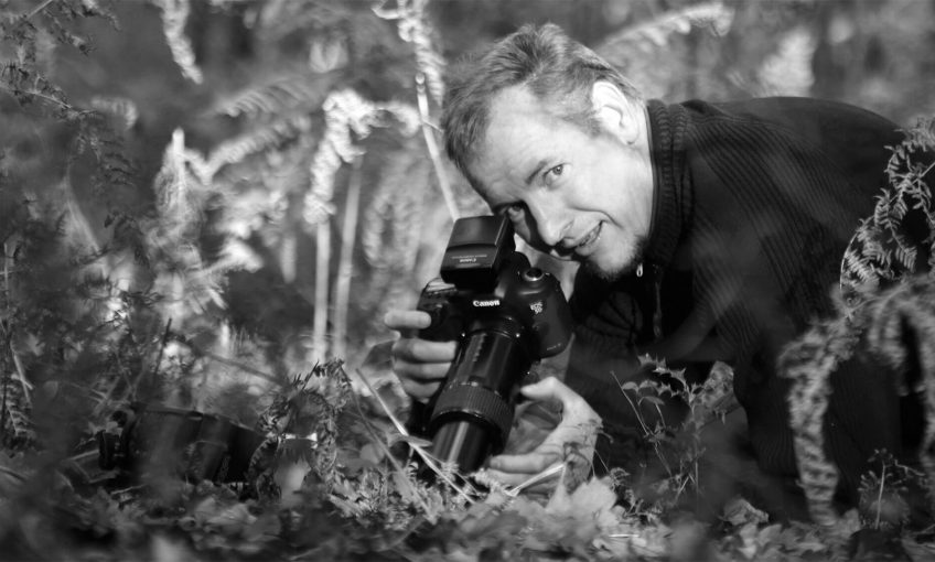 Philippe Lebeaux, un photographe fasciné par les collemboles