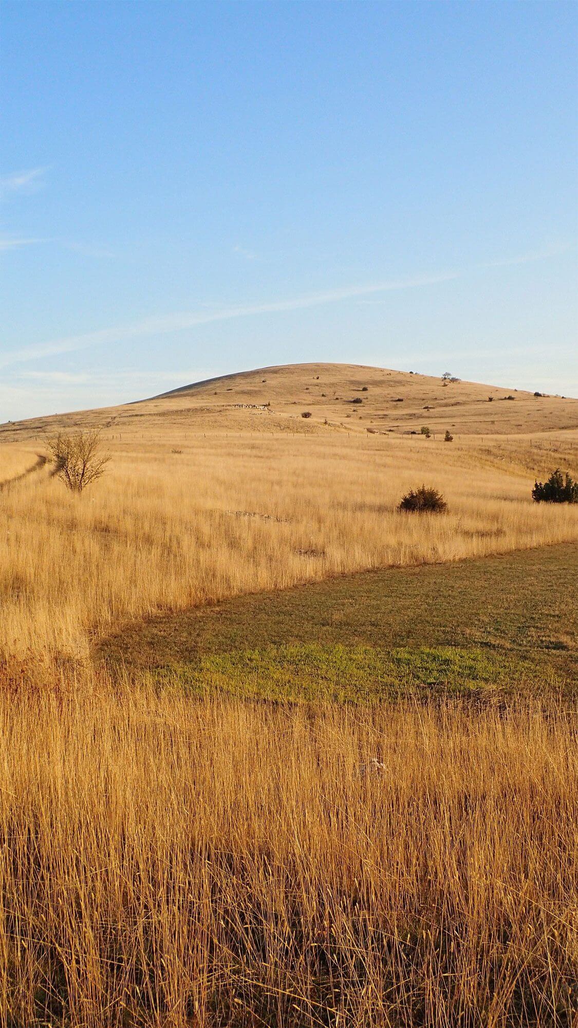 Photo du causse Méjean en septembre