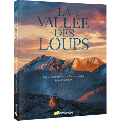 La vallée des loups le livre