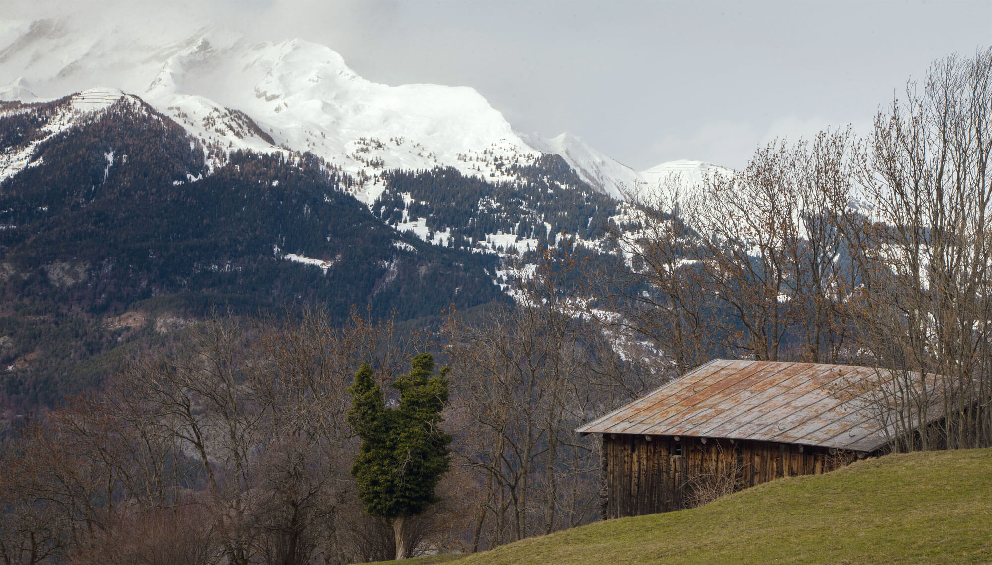 montagne grisons Reportage autour des loups du Calanda dans les Grisons - La Salamandre