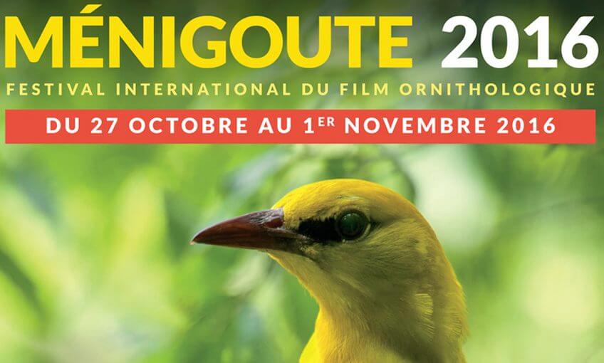 Salamandre primée à Ménigoute films