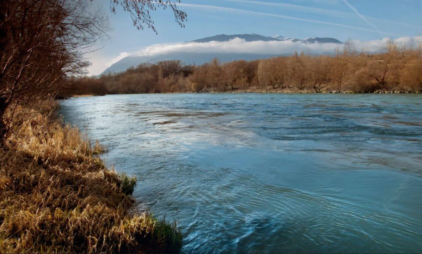 Balade le long du Rhône, là où il dépasse les bornes - La Salamandre rivière rhône