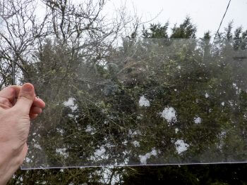 Piégez et observer des flocons de neige près de chez vous