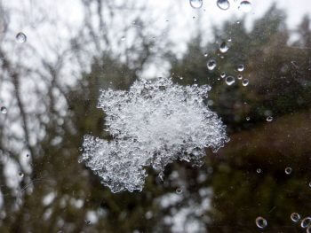 Piégez et observer des flocons de neige près de chez vous